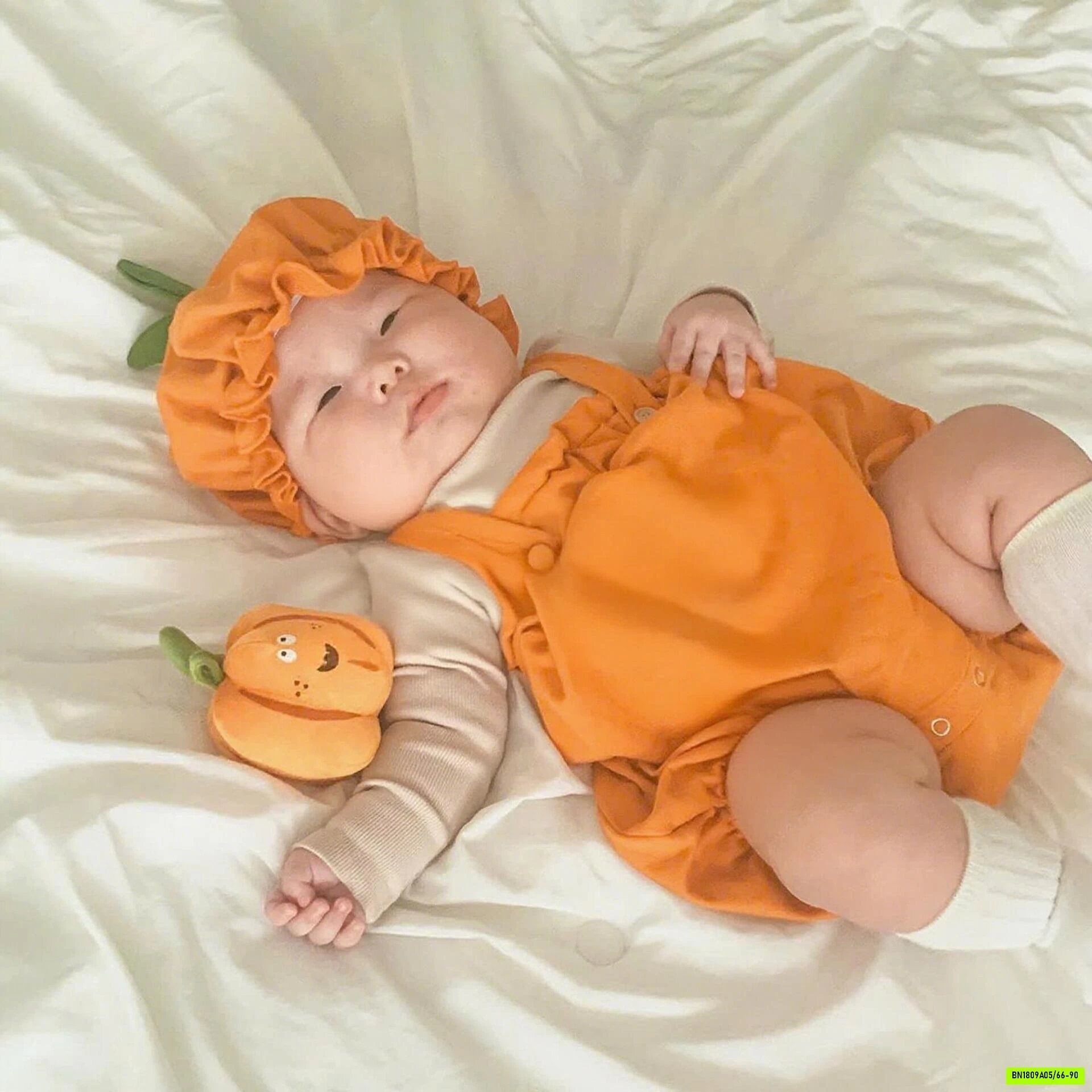 YẾM BÍ NGÔ HALLOWEEN