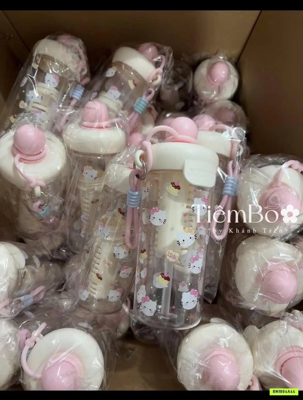 BÌNH NƯỚC TRONG KUTE