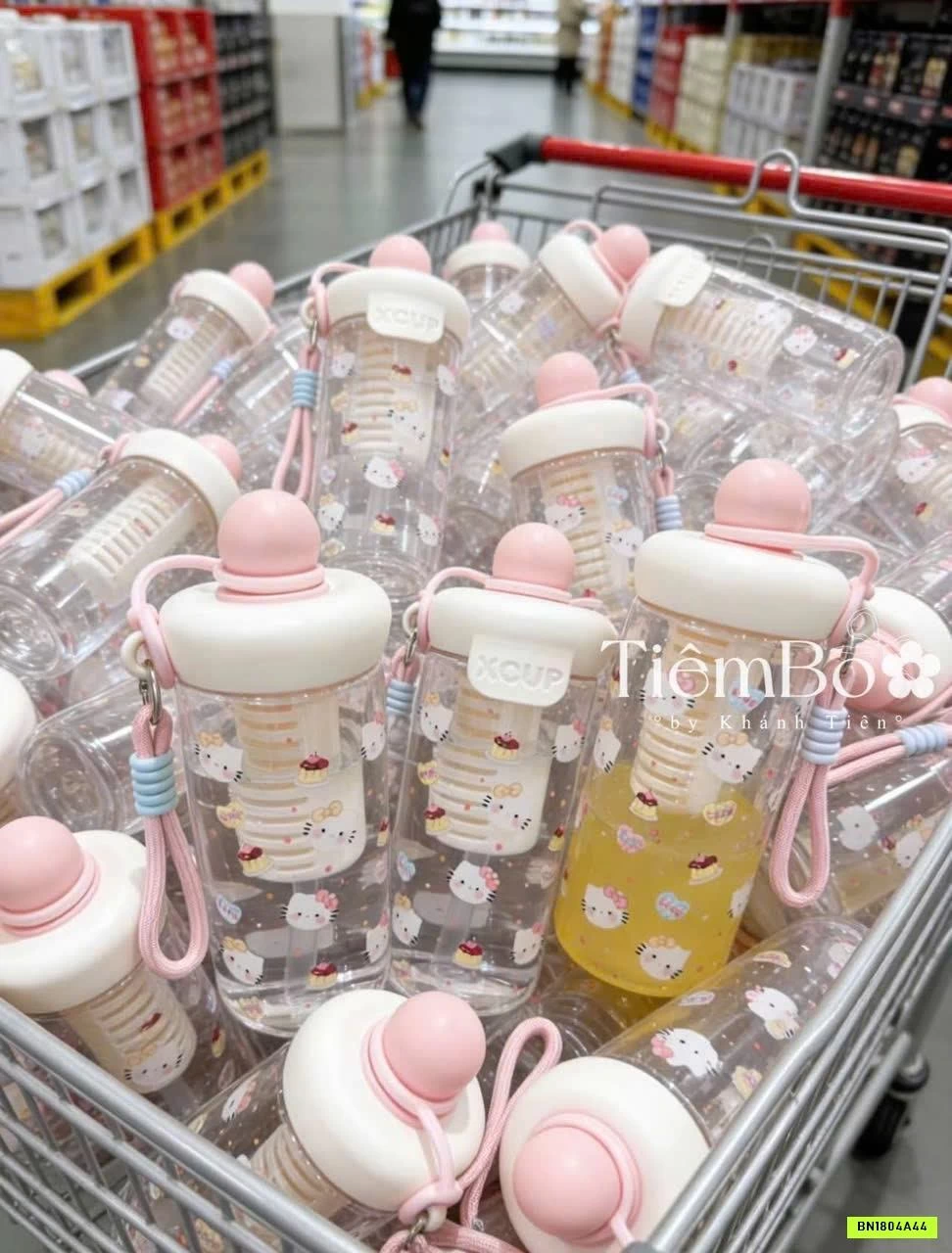 BÌNH NƯỚC TRONG KUTE