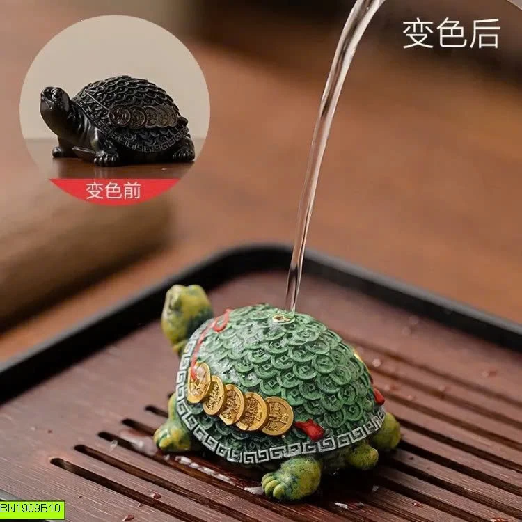 RÙA KIM QUY ĐỔI MÀU
