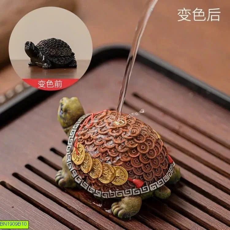 RÙA KIM QUY ĐỔI MÀU
