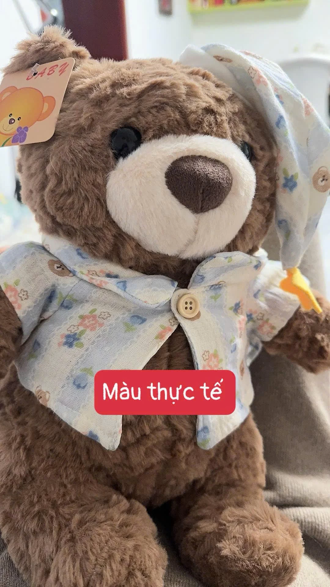 GẤU NÂU NGỘ NGHĨNH