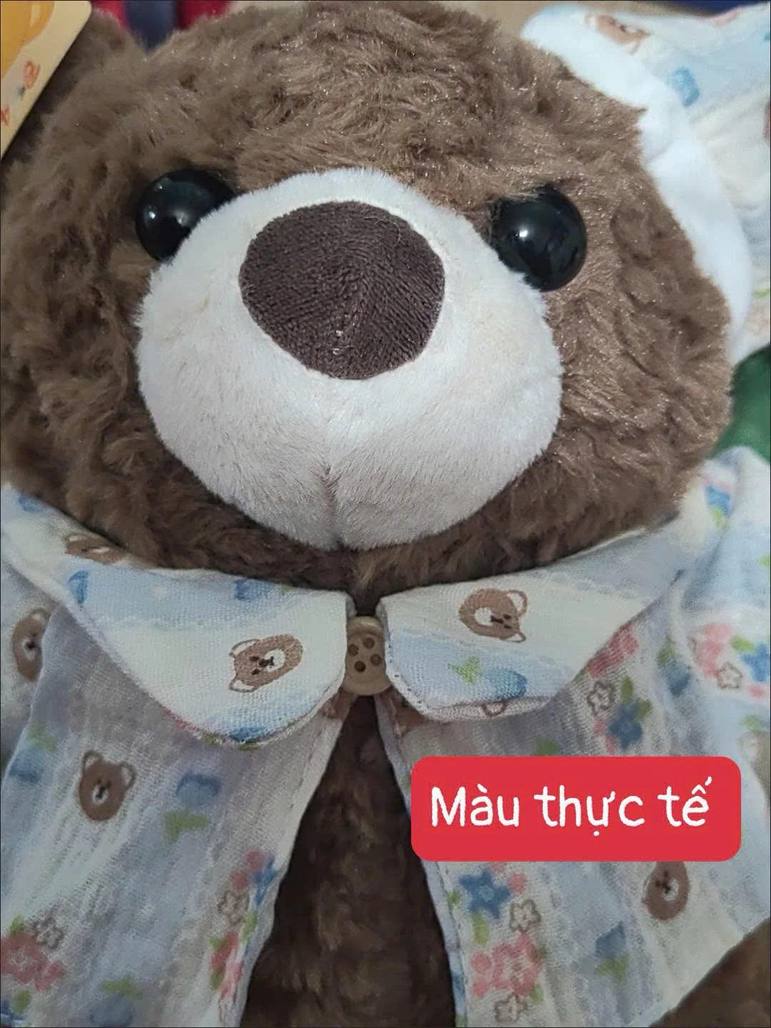GẤU NÂU NGỘ NGHĨNH