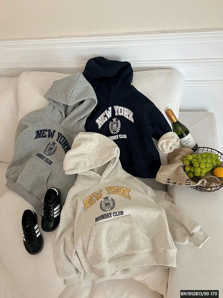 ÁO NỈ HODDIE BASIC CHO BÉ AMBB 24Z036