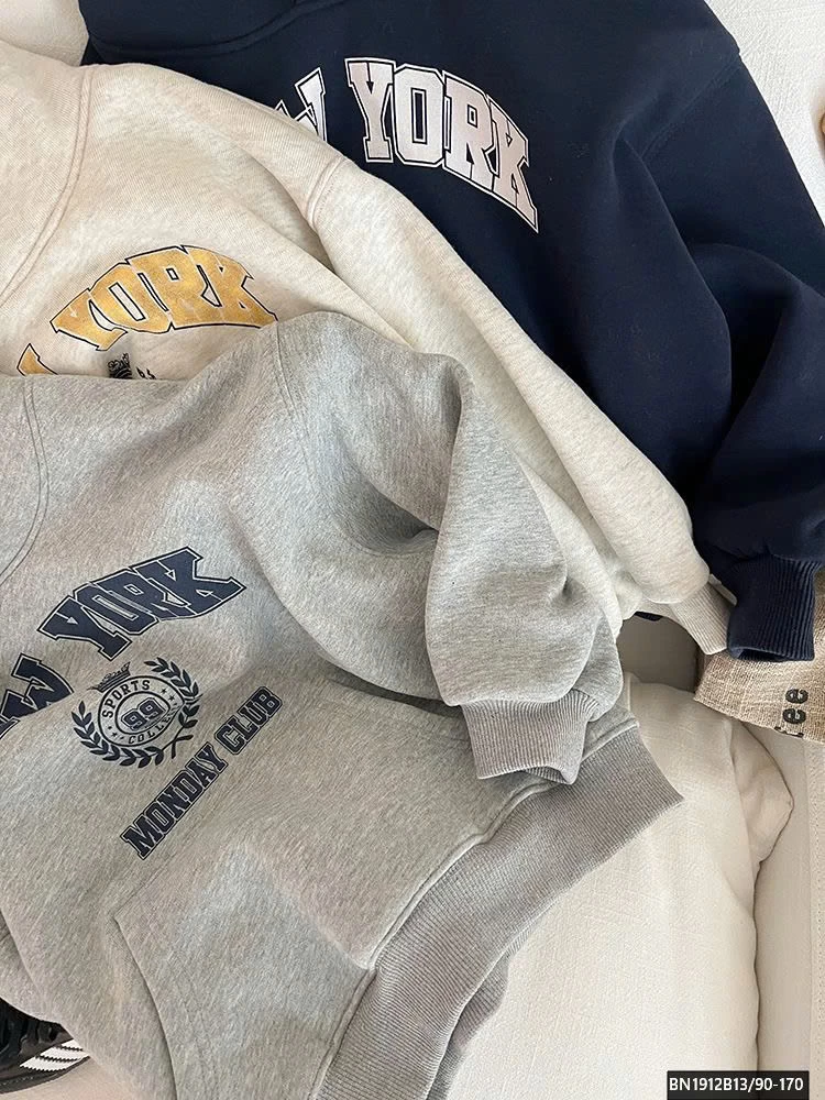 ÁO NỈ HODDIE BASIC CHO BÉ AMBB 24Z036