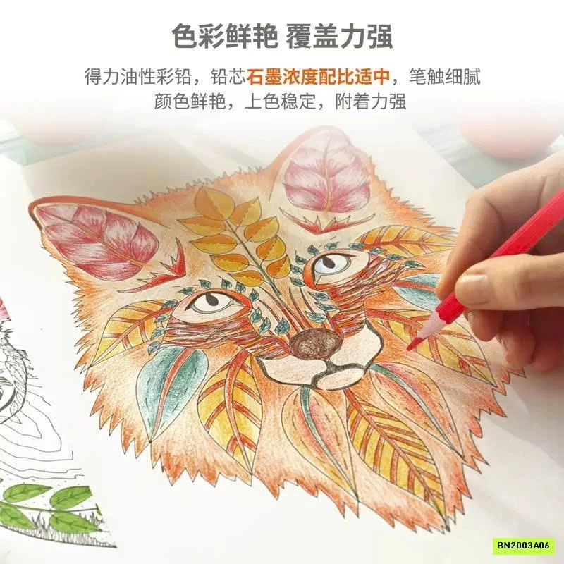 BÚT CHÌ MÀU DELI 48 MÀU