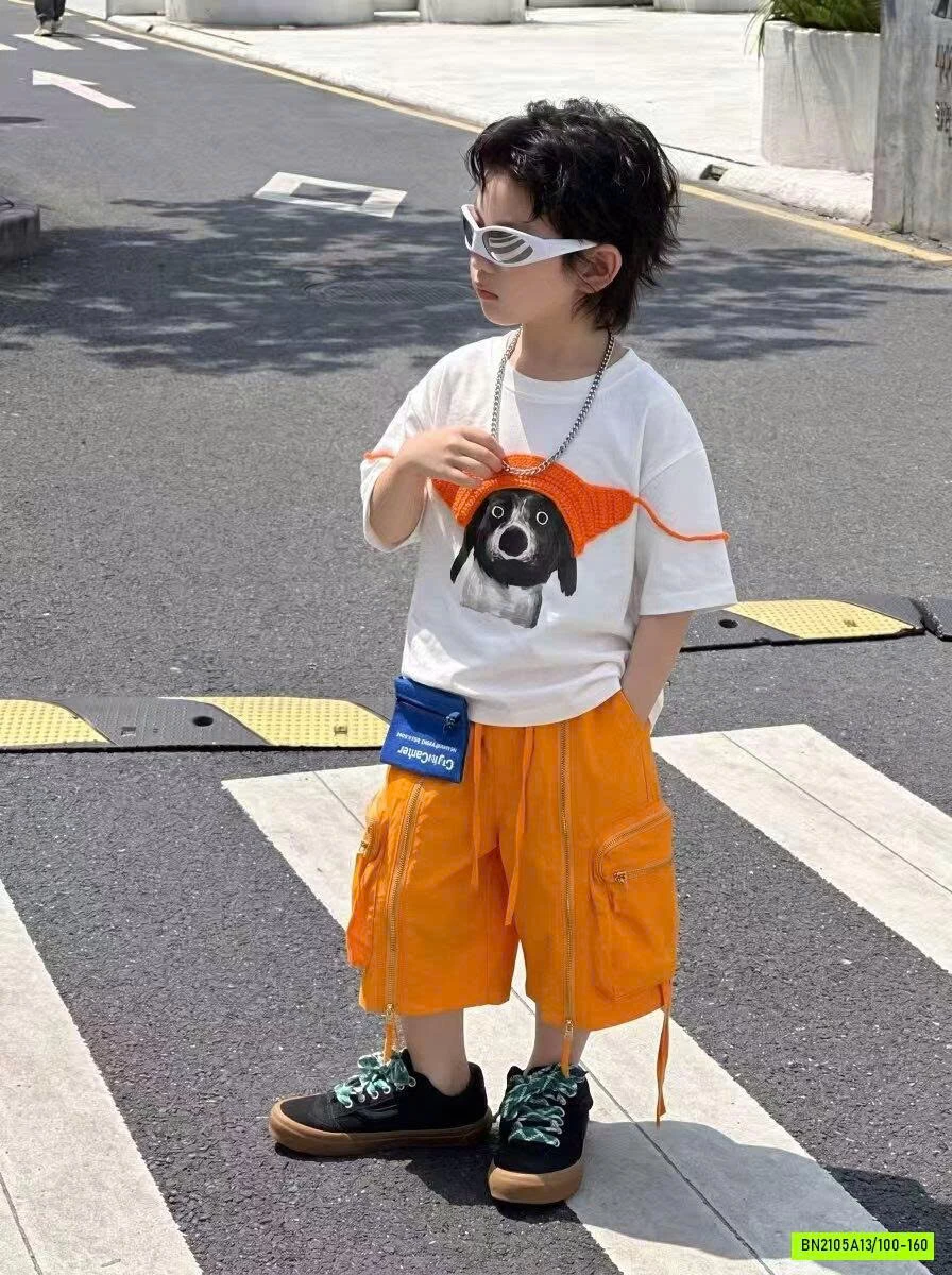 ÁO THUN CÚN ĐỘI MŨ 3D