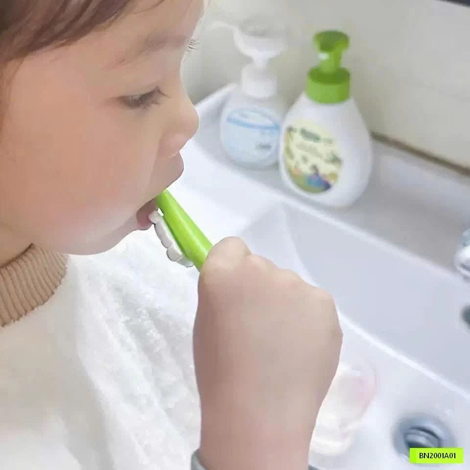 SÉT 6 BÀN CHẢI THÚ CƯNG