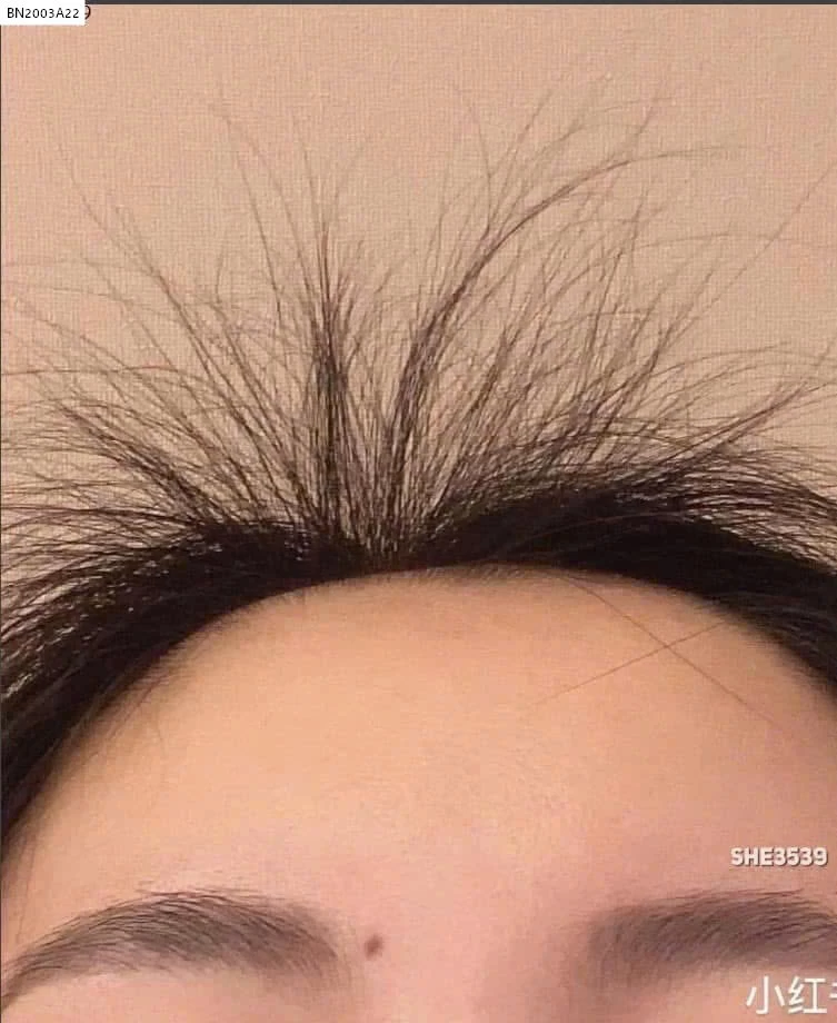 TRÀ NGŨ HẮC 5 NỘI ĐỊA