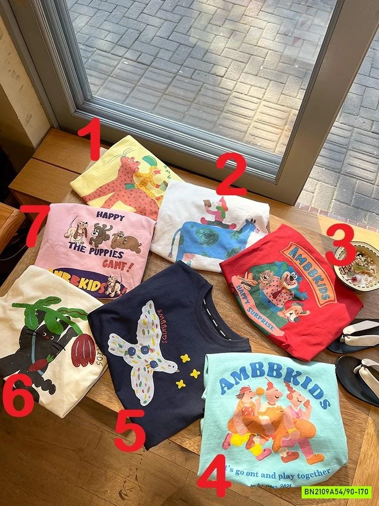 ÁO THUN 7 MẪU 25B156 AMBB