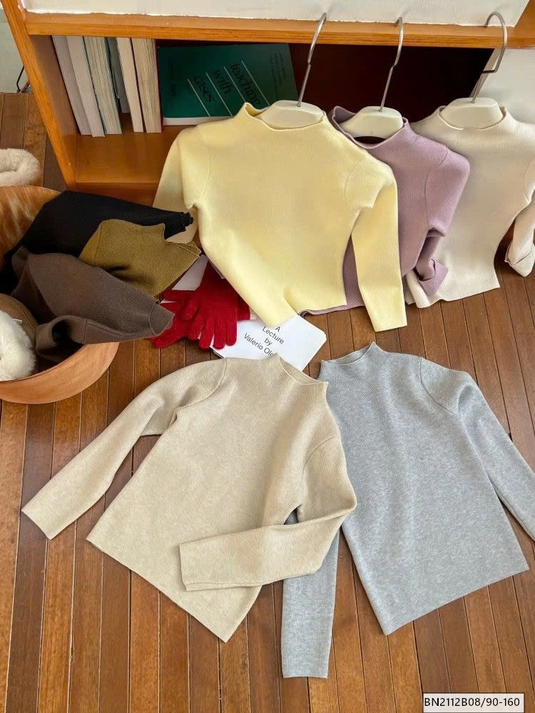 ÁO GIỮ NHIỆT CAO CỔ  AMBB  25H166