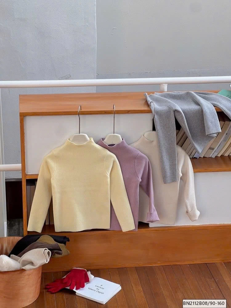 ÁO GIỮ NHIỆT CAO CỔ  AMBB  25H166