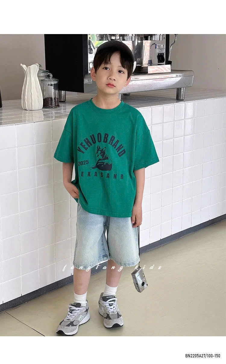 ÁO THUN IN HÌNH S2832