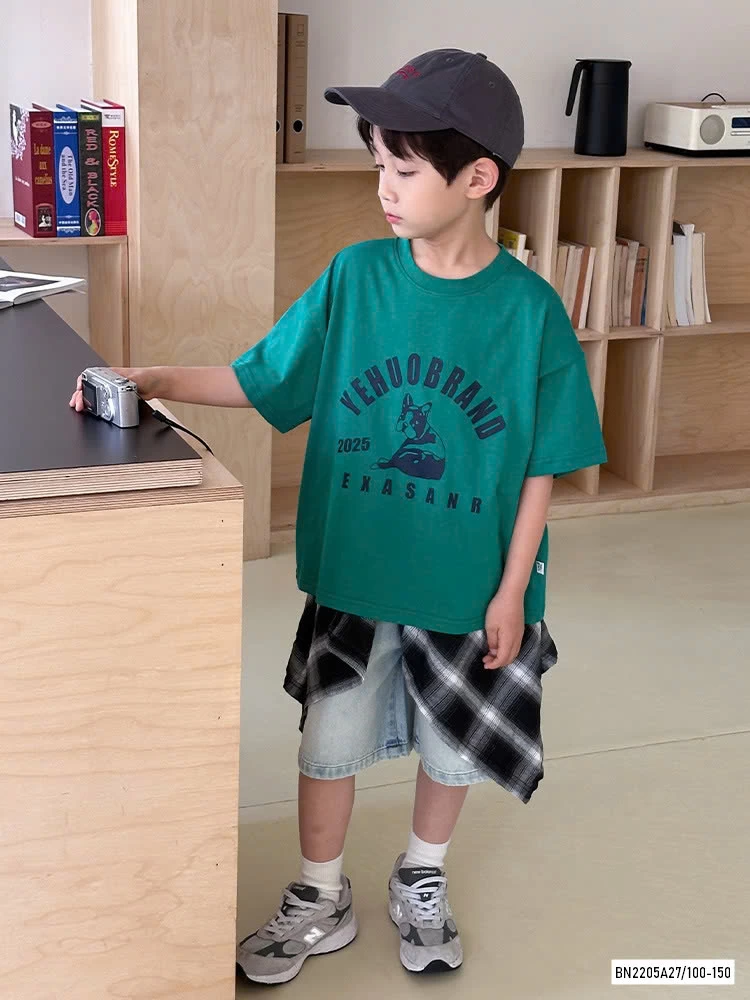 ÁO THUN IN HÌNH S2832