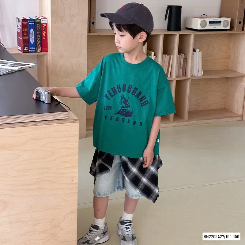 ÁO THUN IN HÌNH S2832