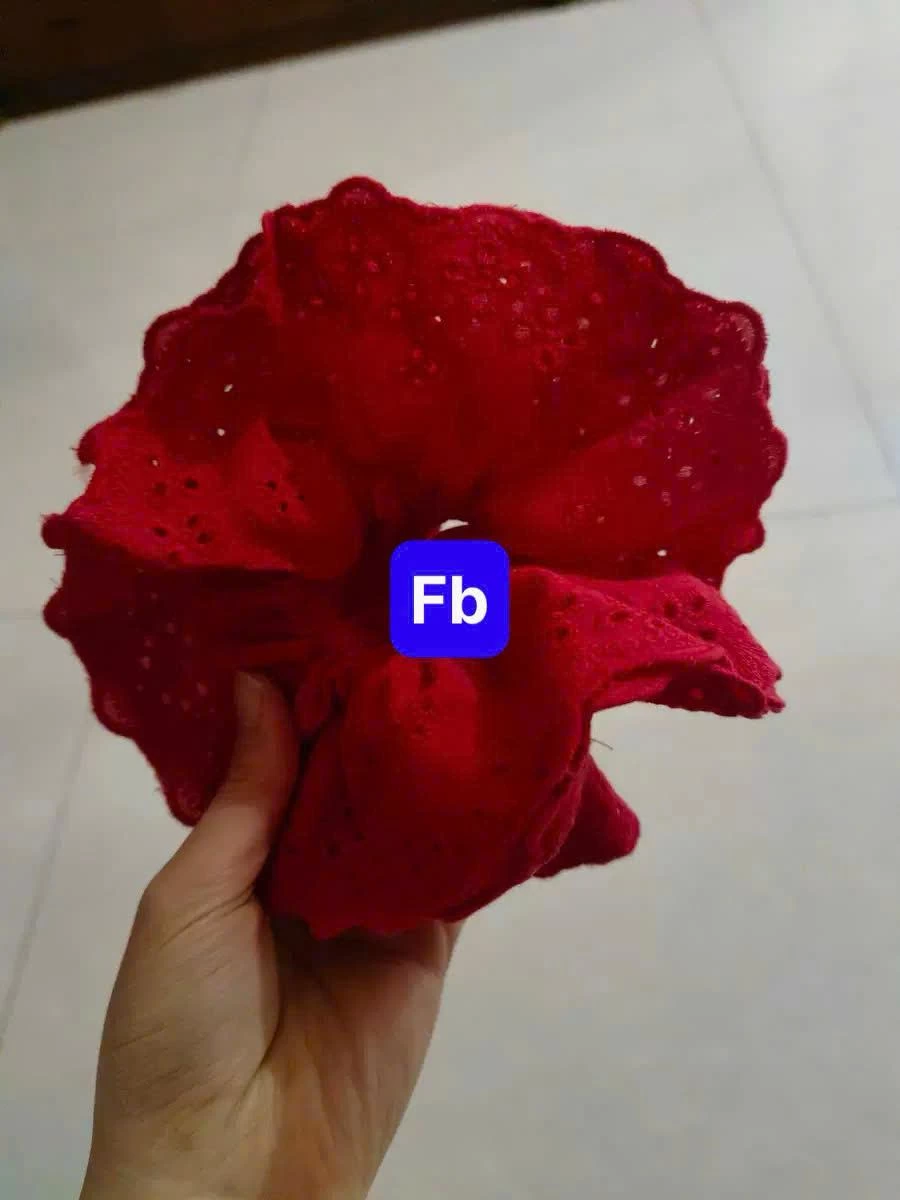 DÂY BUỘC TÓC DỄ THƯƠNG