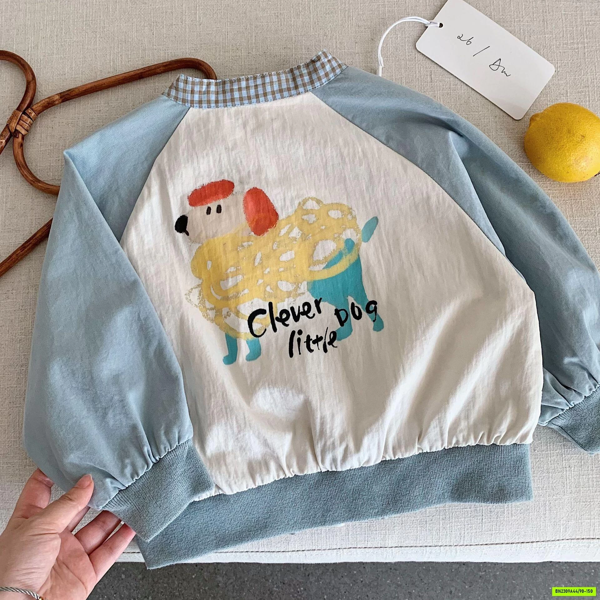 BOMBER CÚN PHỐI MÀU TAY