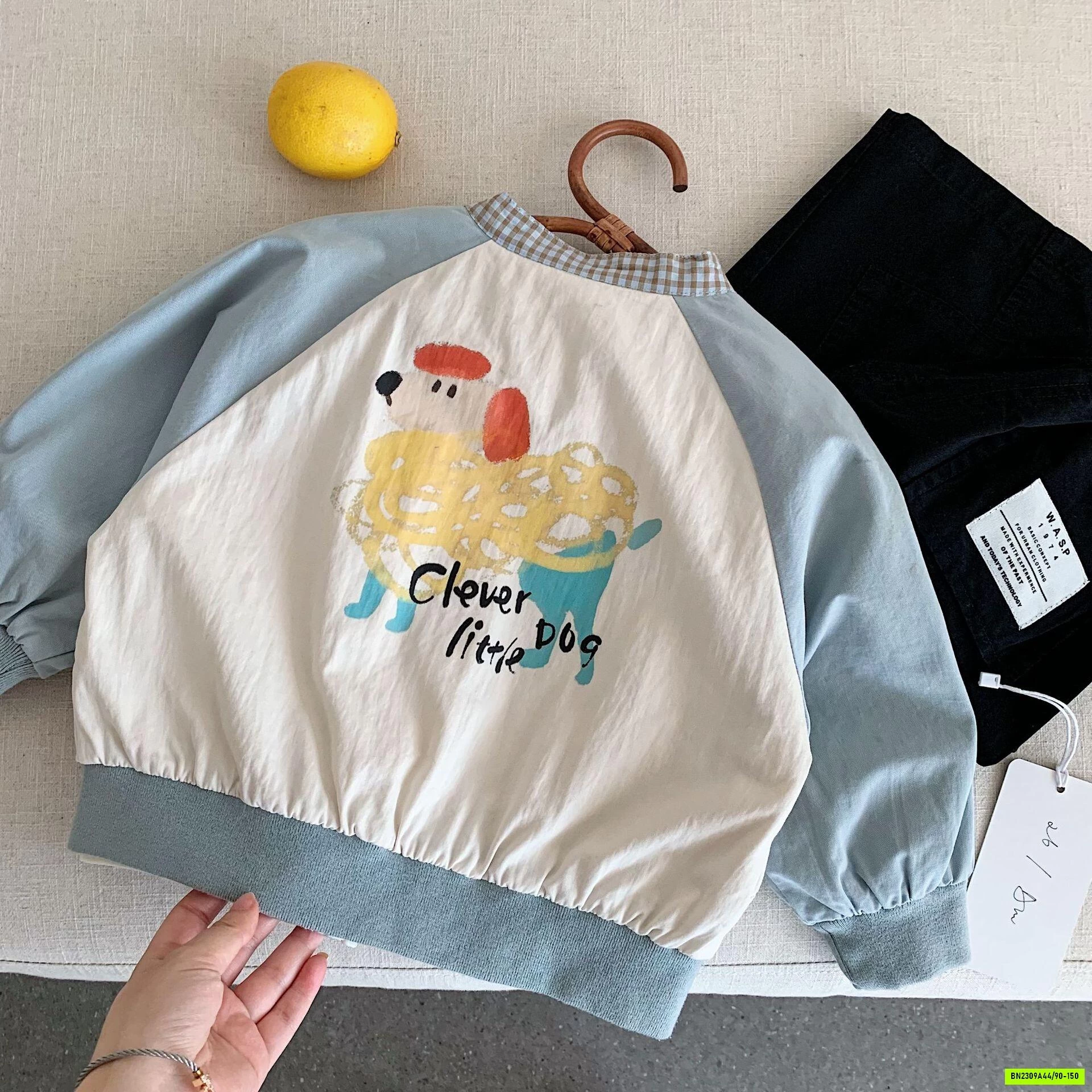 BOMBER CÚN PHỐI MÀU TAY