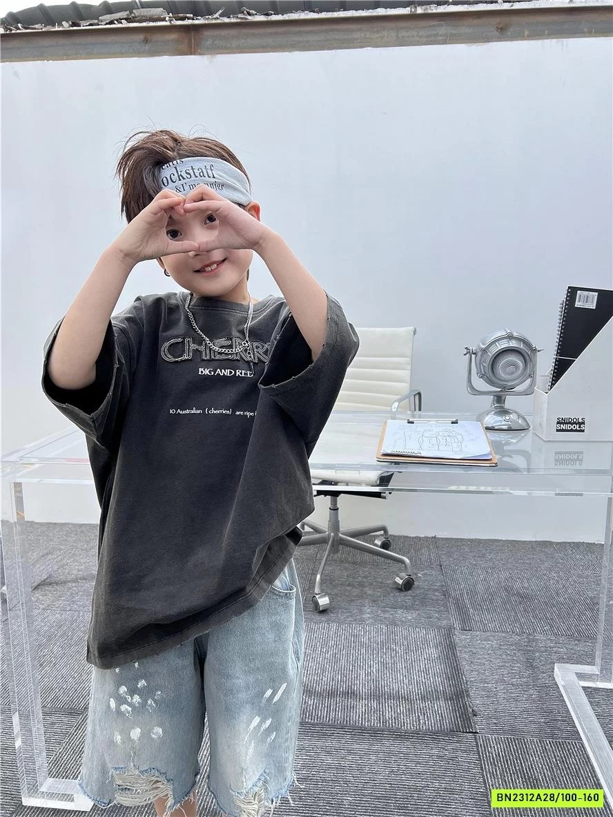 ÁO THUN THÊU CHỮ SNIDOLS