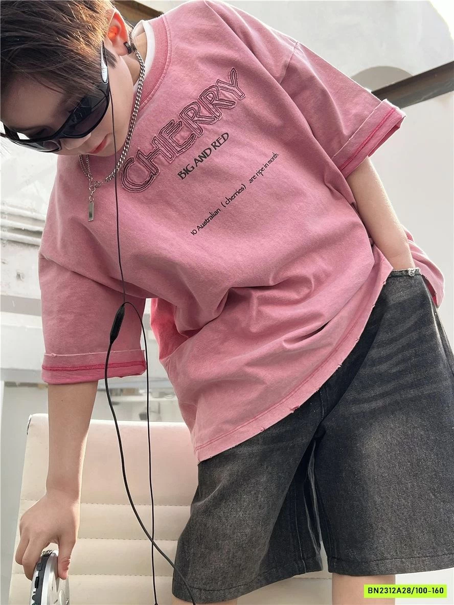 ÁO THUN THÊU CHỮ SNIDOLS