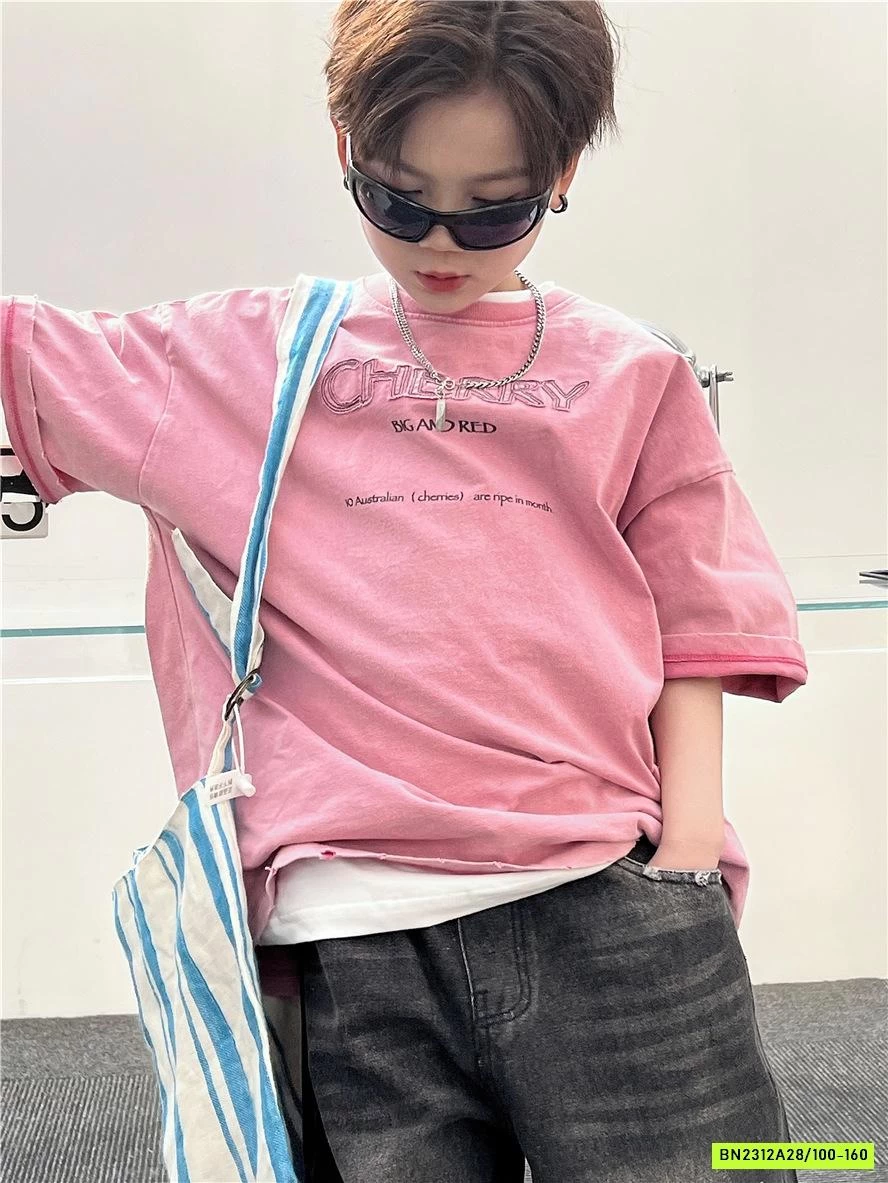 ÁO THUN THÊU CHỮ SNIDOLS