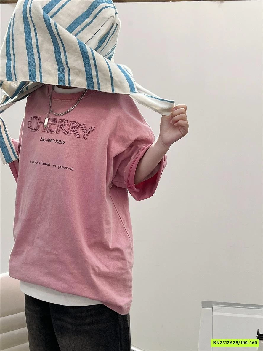 ÁO THUN THÊU CHỮ SNIDOLS