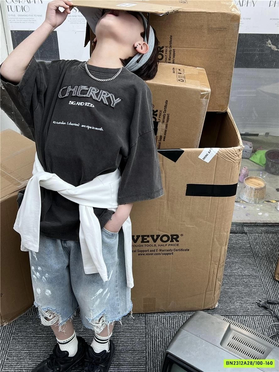 ÁO THUN THÊU CHỮ SNIDOLS