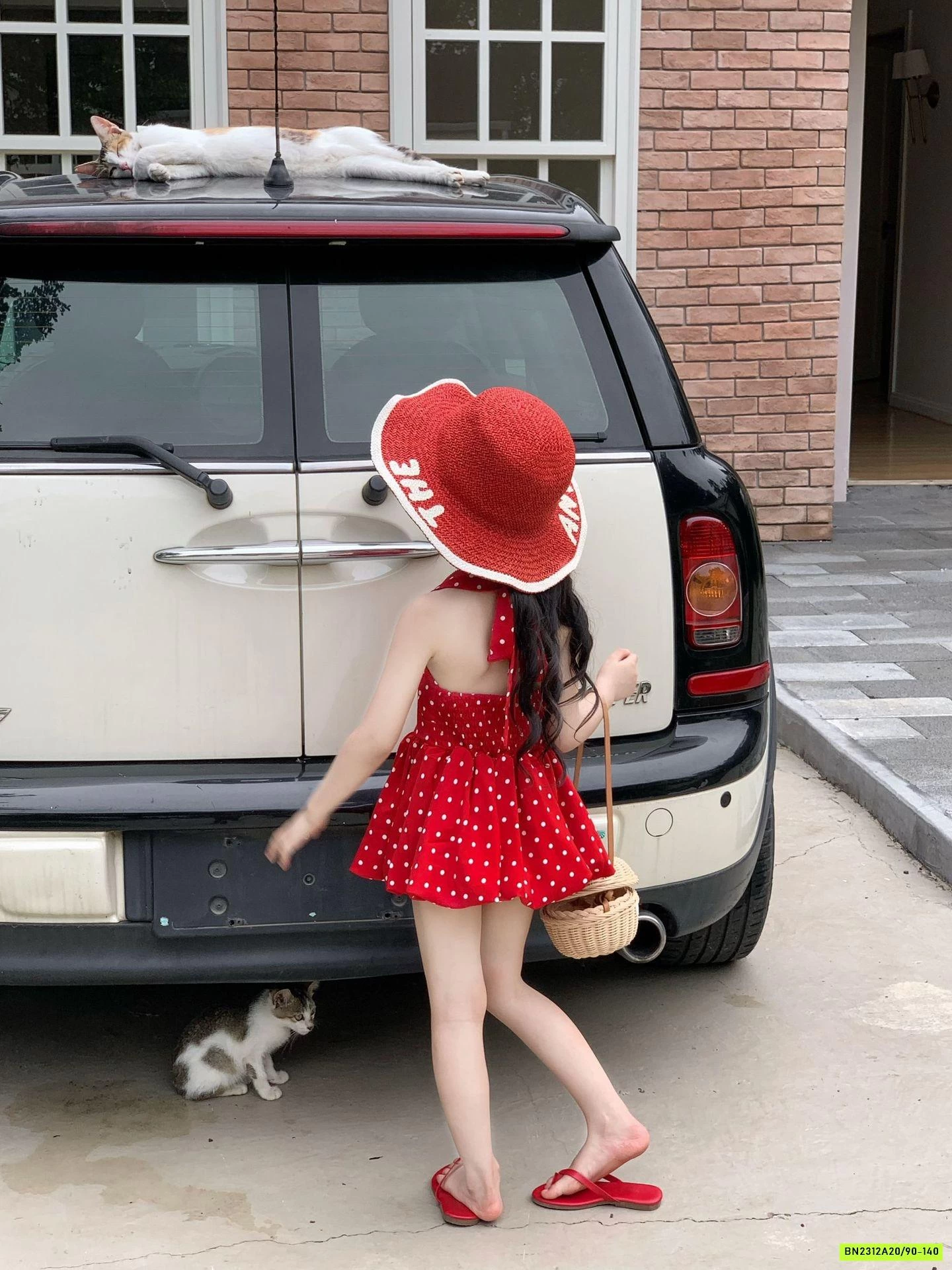 ĐẦM BÍ ĐỎ ĐẤM BI CỔ YẾM