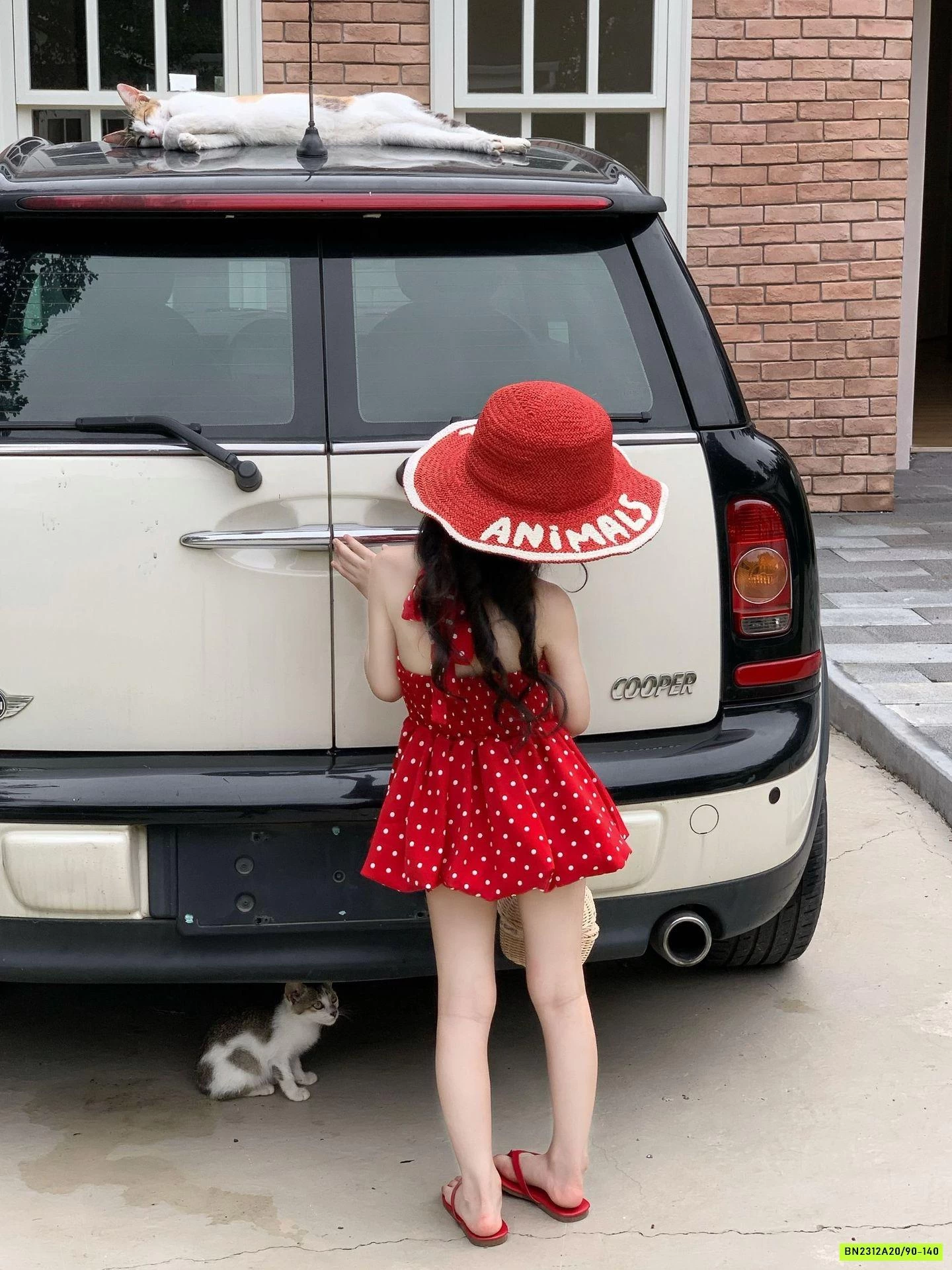 ĐẦM BÍ ĐỎ ĐẤM BI CỔ YẾM