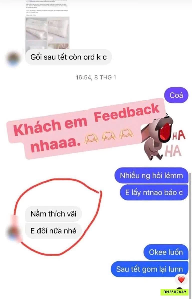 SÉT 2 GỐI LẠC ĐÀ KHÁNG KHUẨN