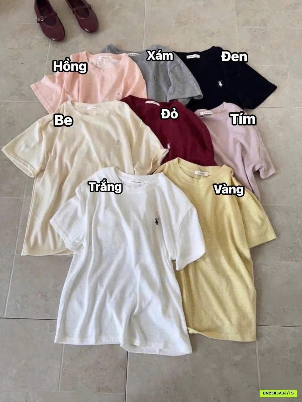 THUN GIẤY D-MSTUDIO