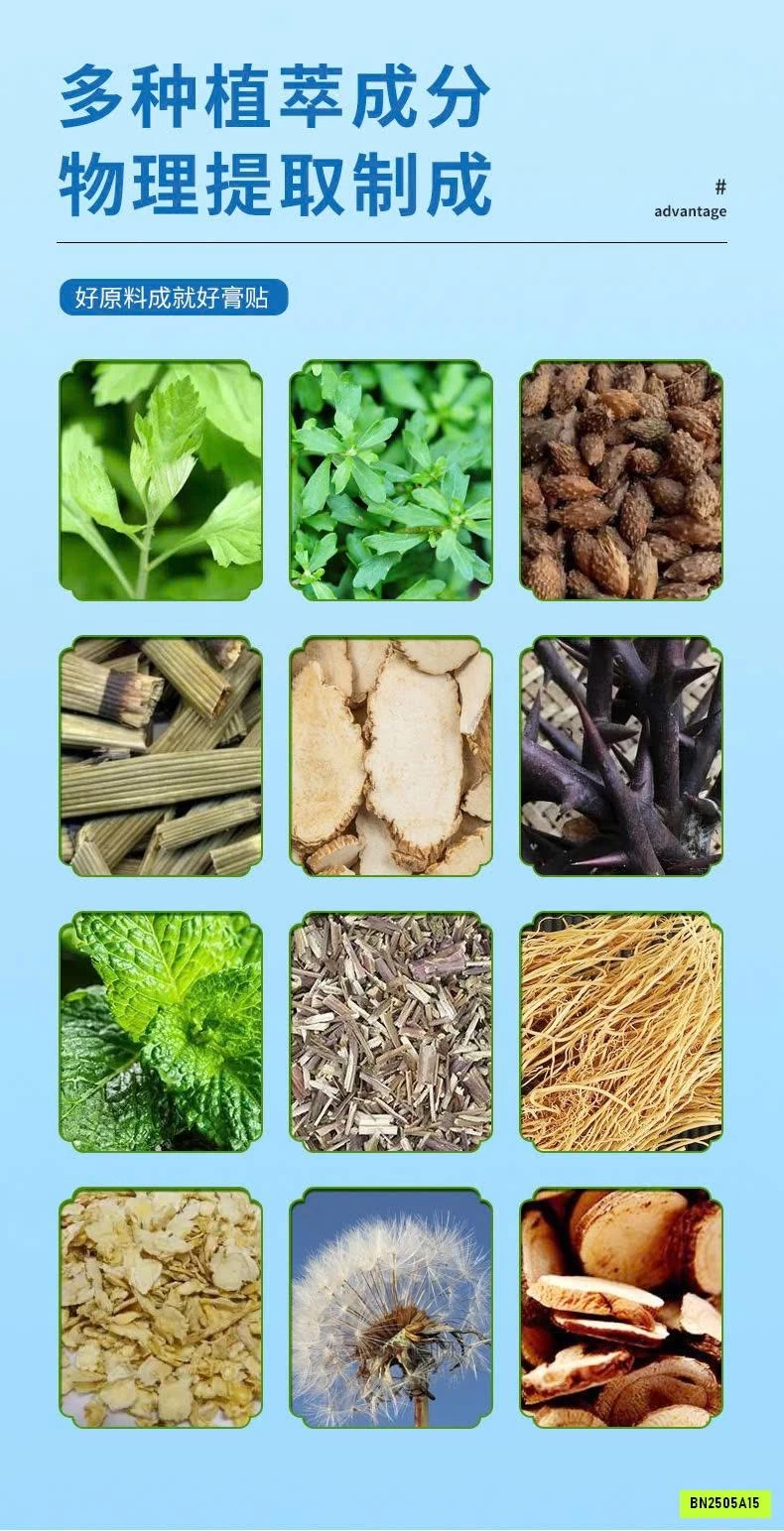 SÉT 5H MIẾNG DÁN THÔNG MŨI CANG NHĨ TỬ