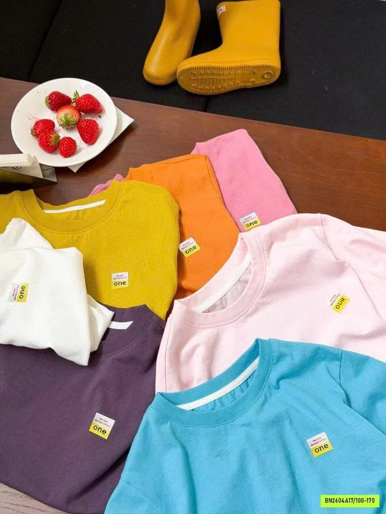 ÁO PHÔNG TRƠN 26B040 AMBB