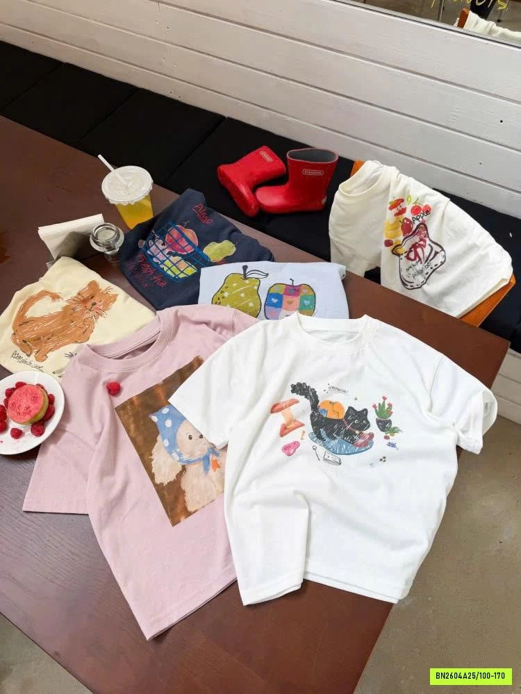 ÁO THUN 6 MẪU 26B008 AMBB