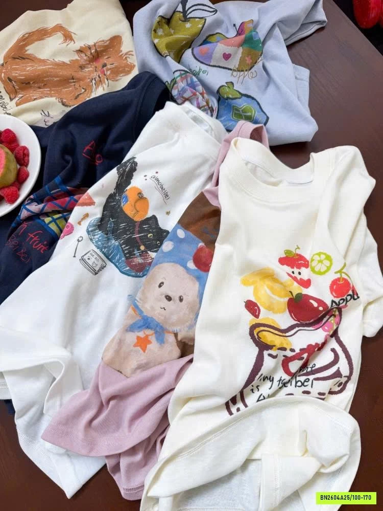 ÁO THUN 6 MẪU 26B008 AMBB