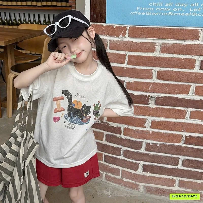 ÁO THUN 6 MẪU 26B008 AMBB