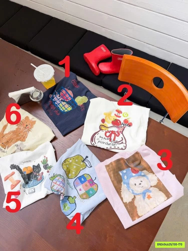 ÁO THUN 6 MẪU 26B008 AMBB