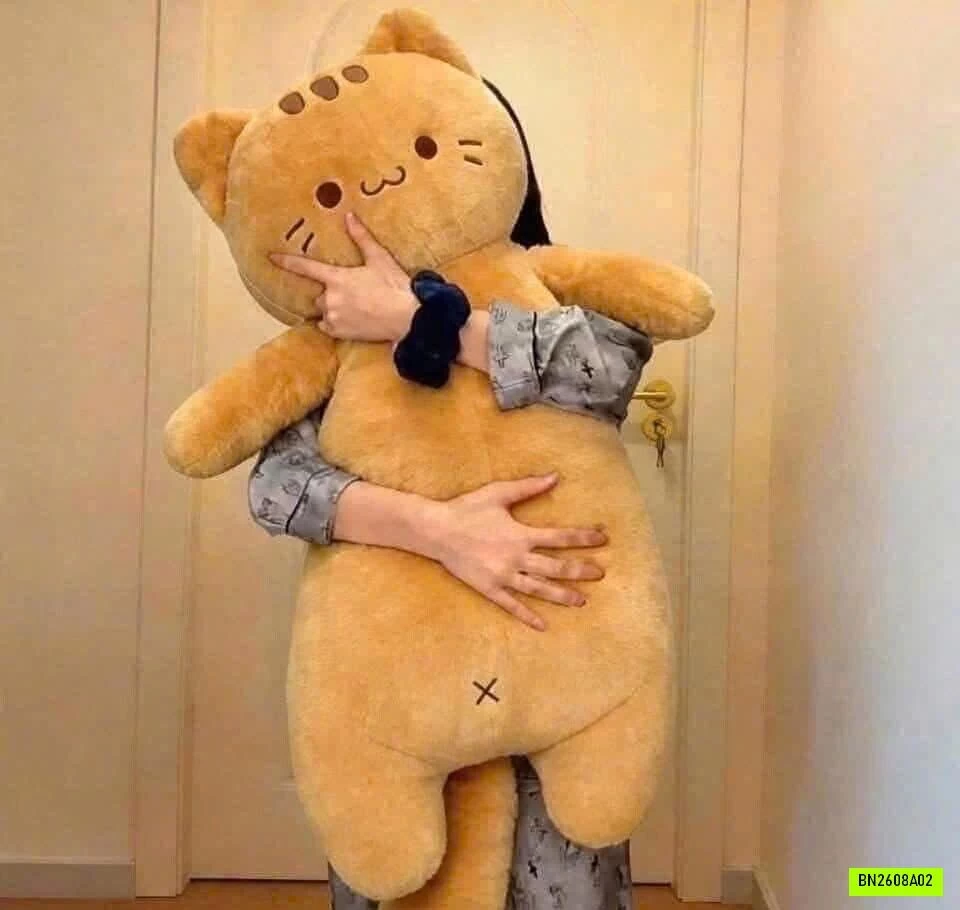 MÈO LƯỜI BÔNG