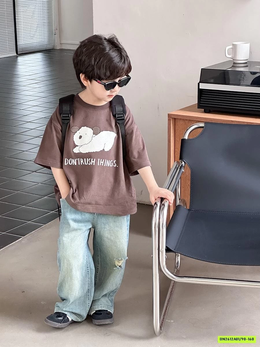 JEANS SUÔNG RÁCH GỐI 24S033 AMBB