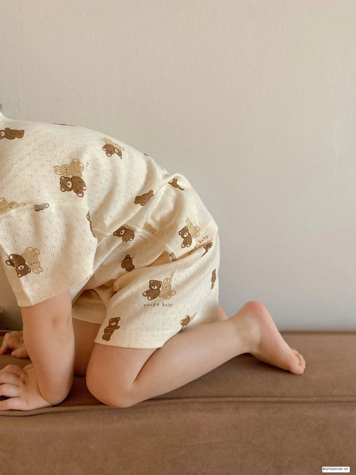 BỘ COTTON LỖ IN GẤU