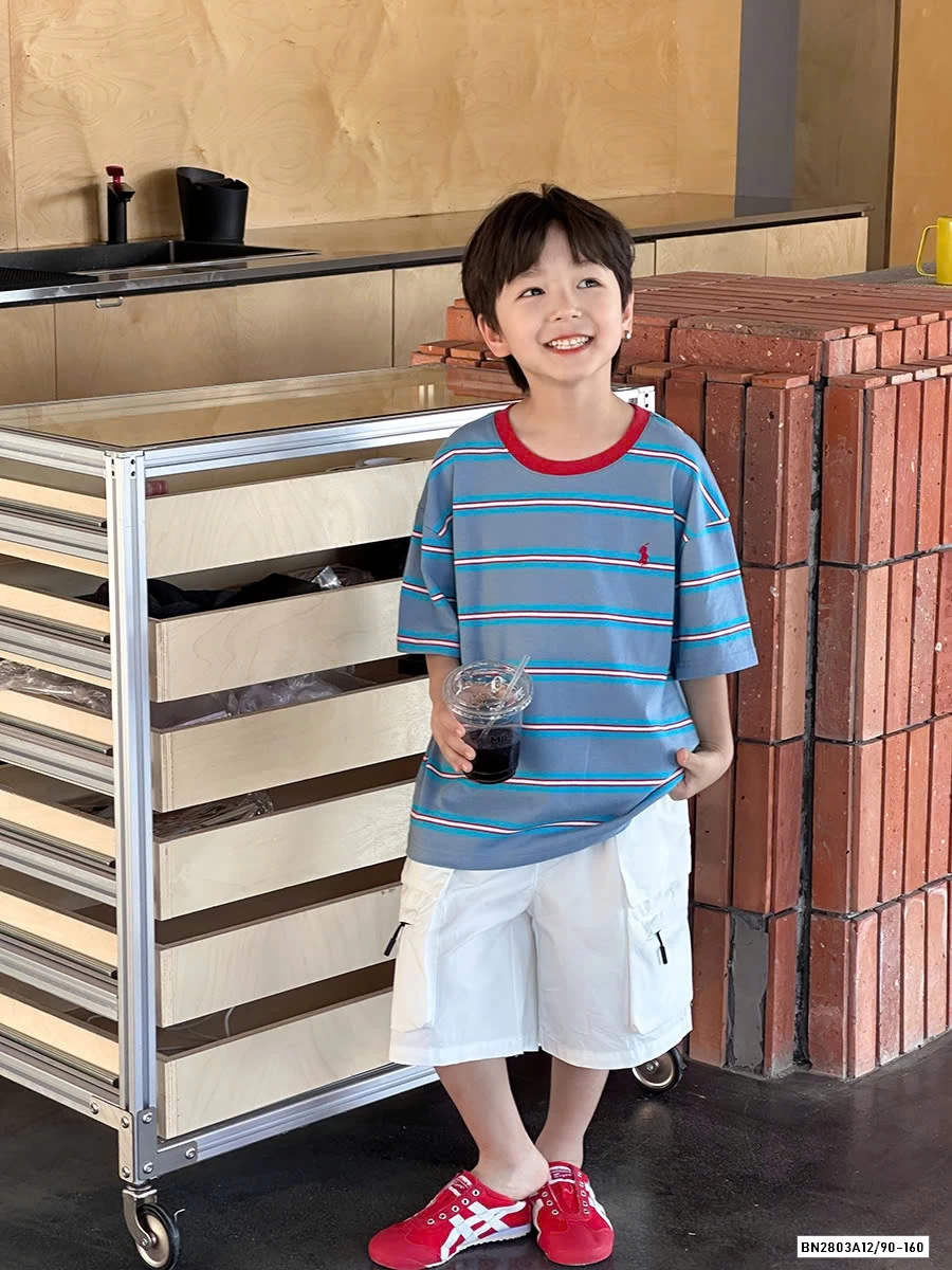 ÁO THUN PHỐI MÀU TAY AMBB