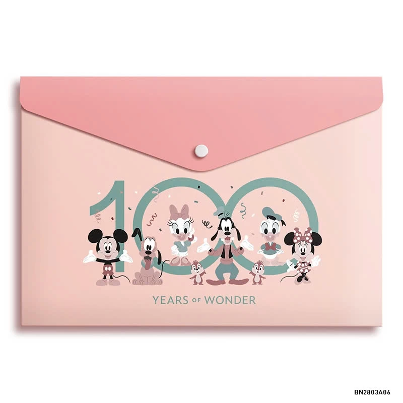 SÉT 5 TÚI ĐỰNG TÀI LIỆU GIẤY KTRA