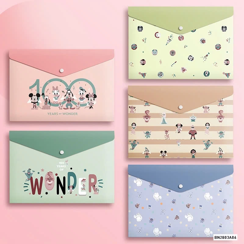 SÉT 5 TÚI ĐỰNG TÀI LIỆU GIẤY KTRA