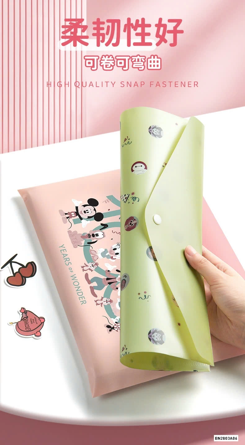 SÉT 5 TÚI ĐỰNG TÀI LIỆU GIẤY KTRA