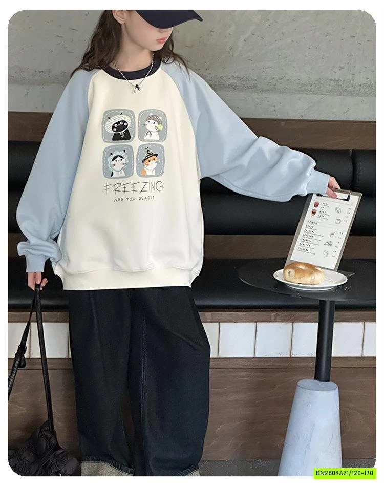 ÁO NỈ PHỐI MÀU TAY IN MÈO