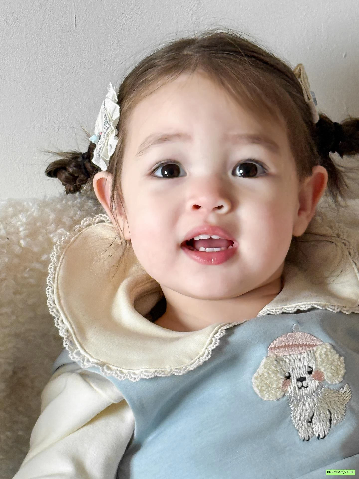 ĐẦM NỈ CÚN XANH SZ NHÍ