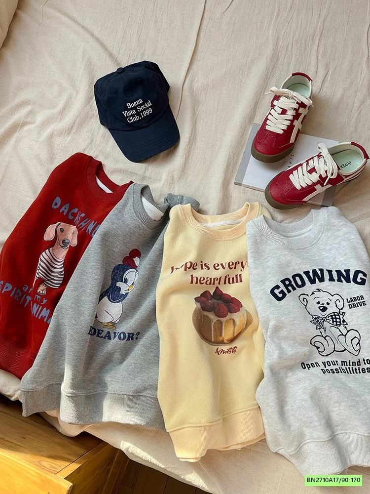 ÁO NỈ IN HÌNH 25A076 AMBB