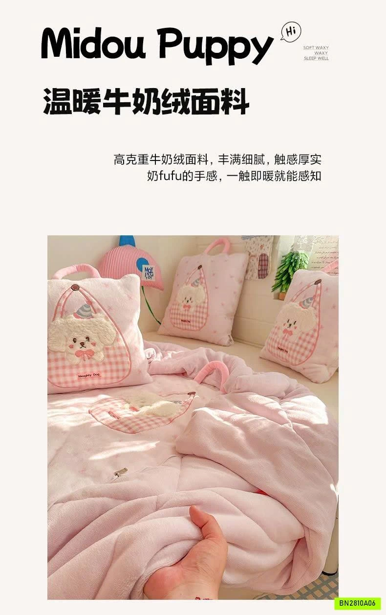 BỘ CHĂN GỐI 2IN1 MẪU MỚI