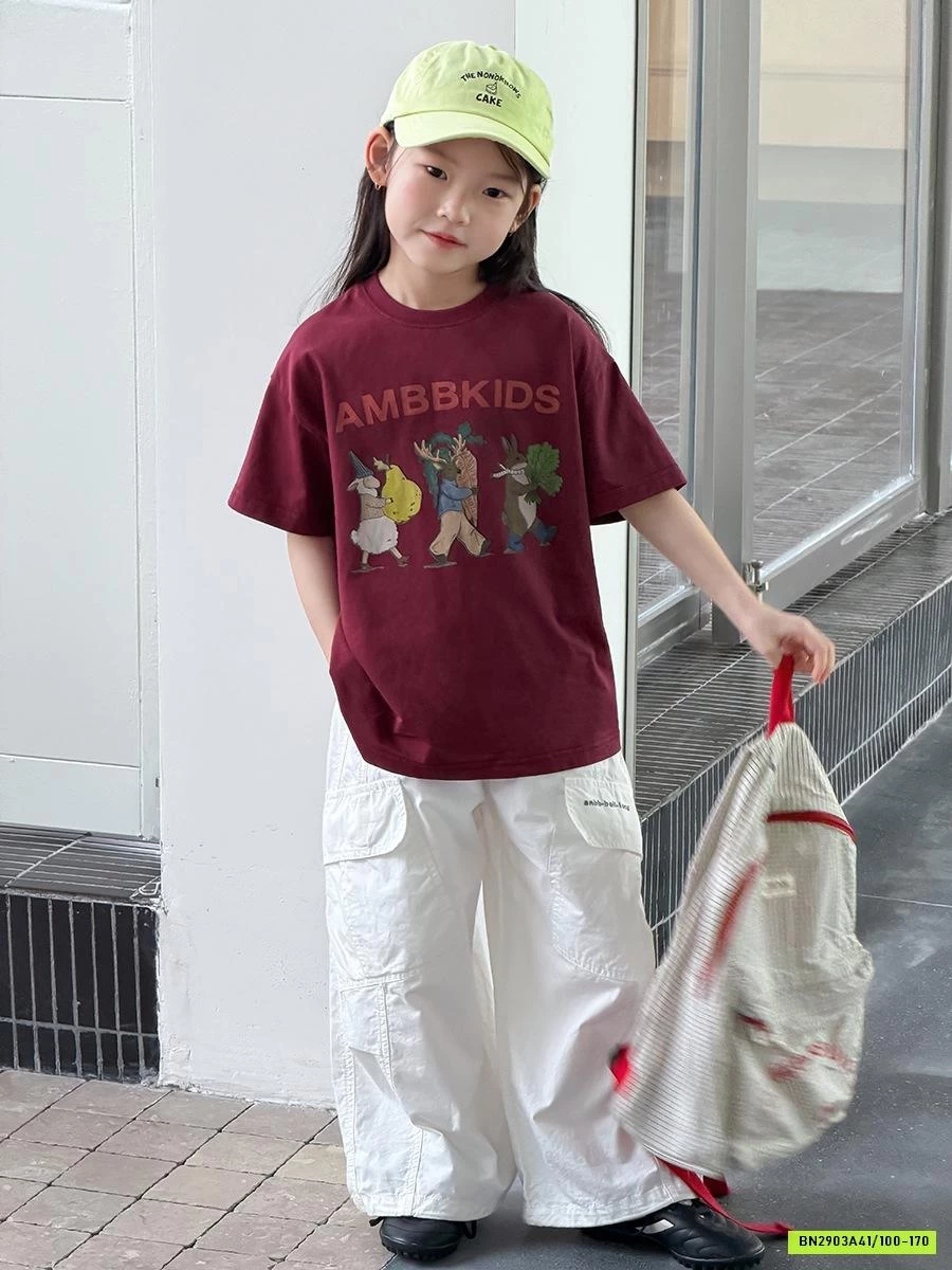 ÁO THUN IN HÌNH 26B052 MỚI AMBB