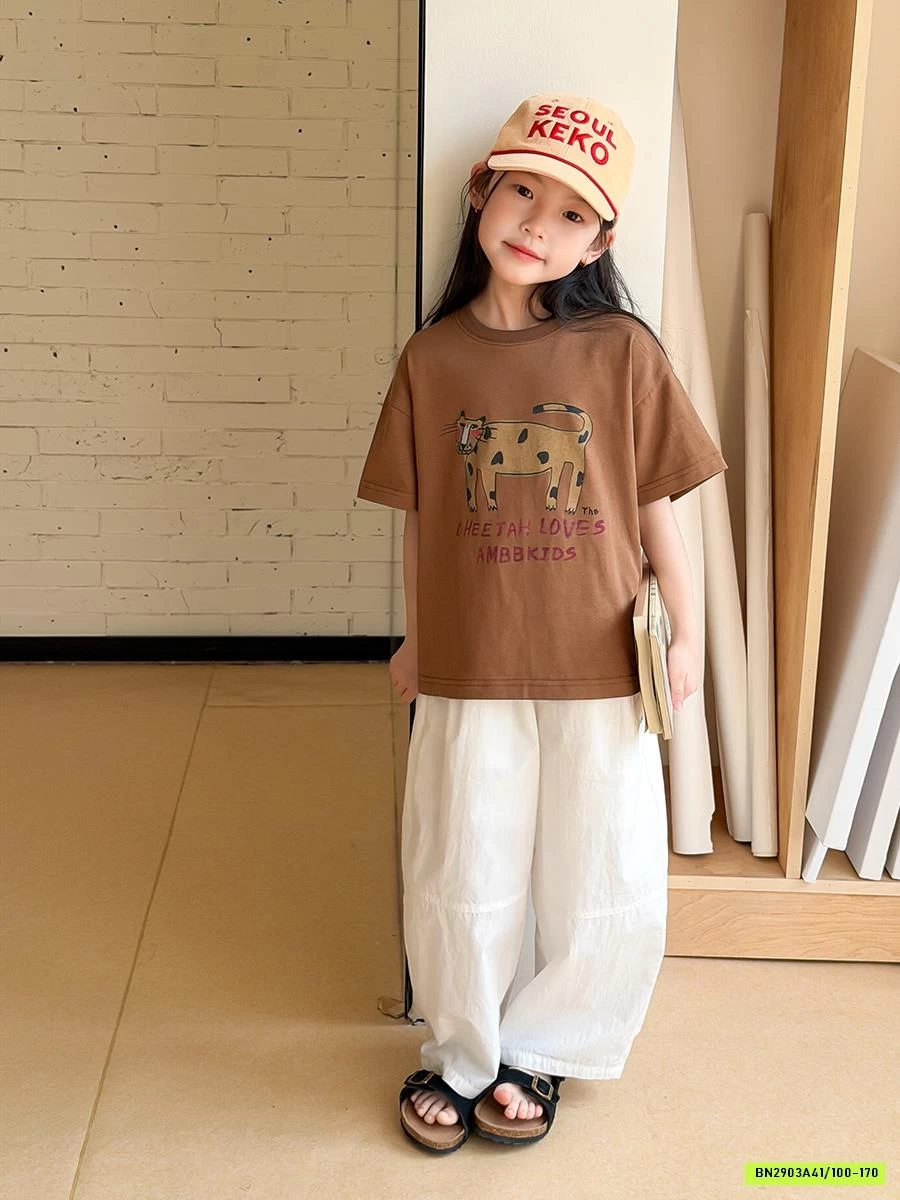 ÁO THUN IN HÌNH 26B052 MỚI AMBB